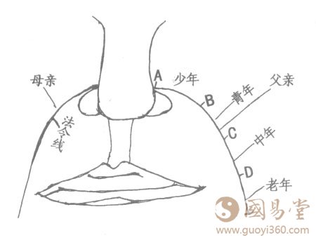 面相图解:法令相法绝学