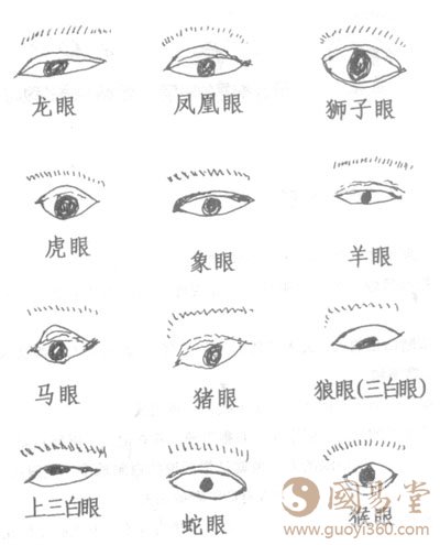面相学眼晴种类