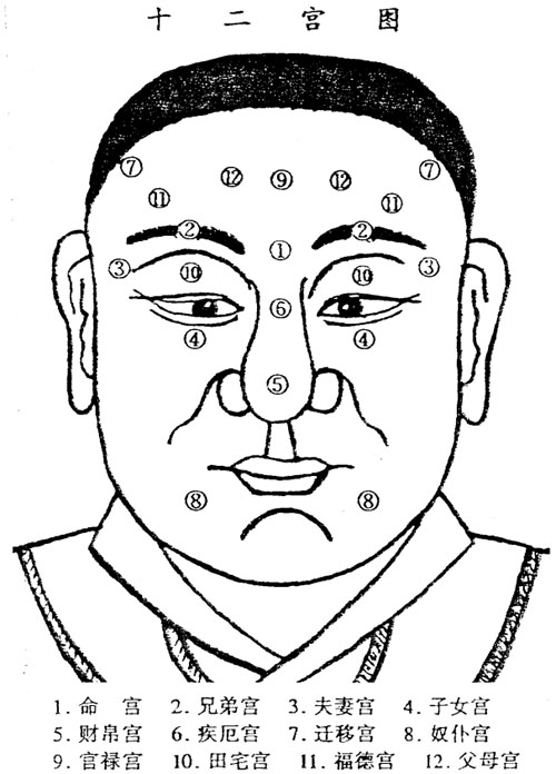 面相十二宫图解