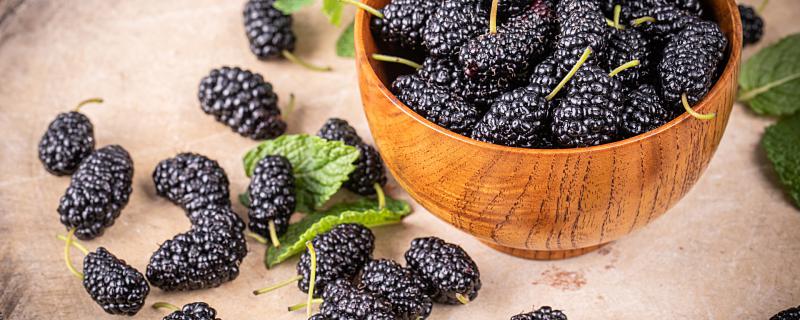 梦见吃桑葚好不好?梦见桑葚预示... 梦到吃桑葚什么意思